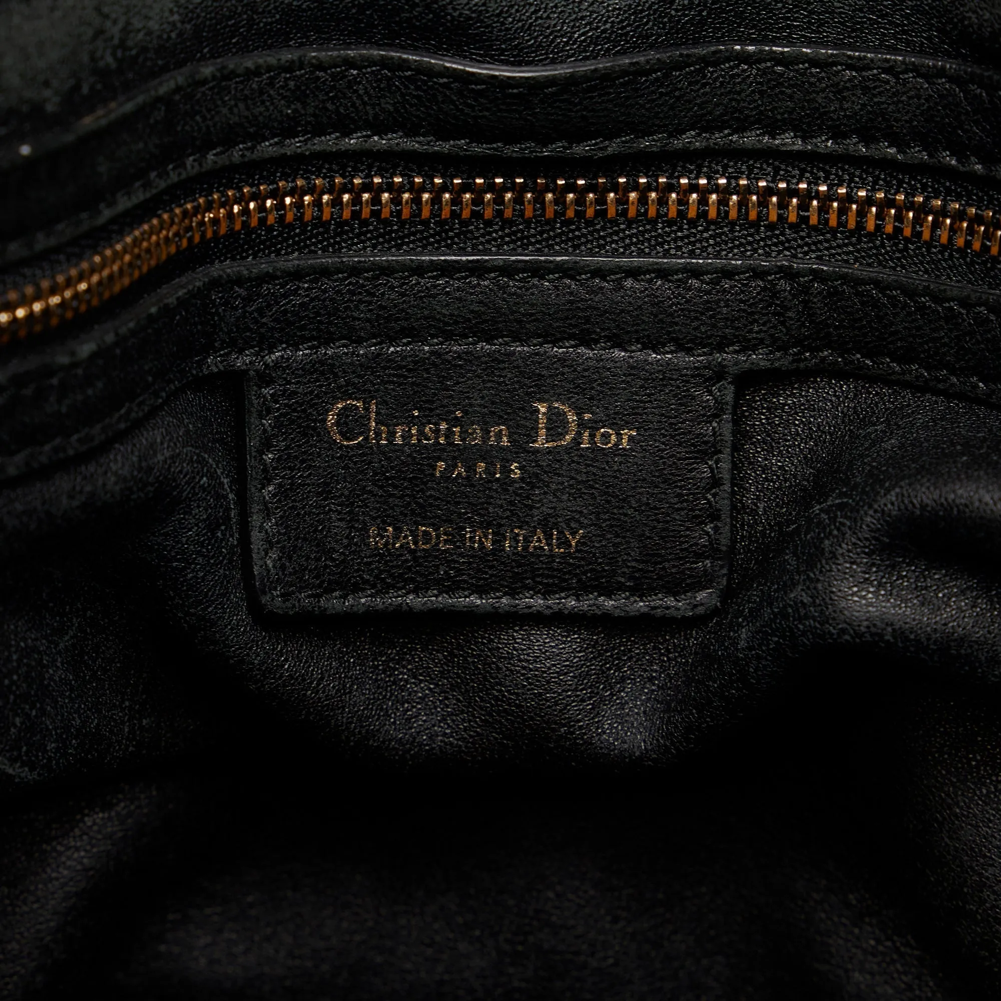 DIOR Libertine Hobo Bag