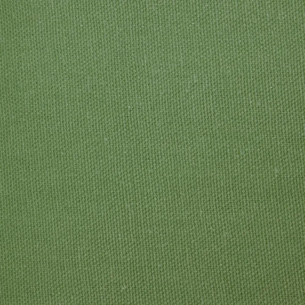 Duck Canvas by James Thompson in John Deere Green